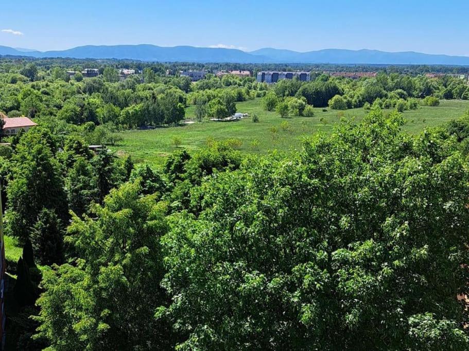 Green Apartament 21 Oświęcim Εξωτερικό φωτογραφία